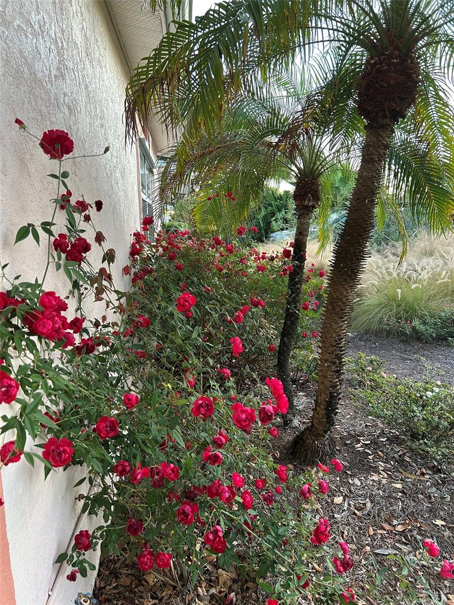 Image 46 of 52 For 810 9th Avenue