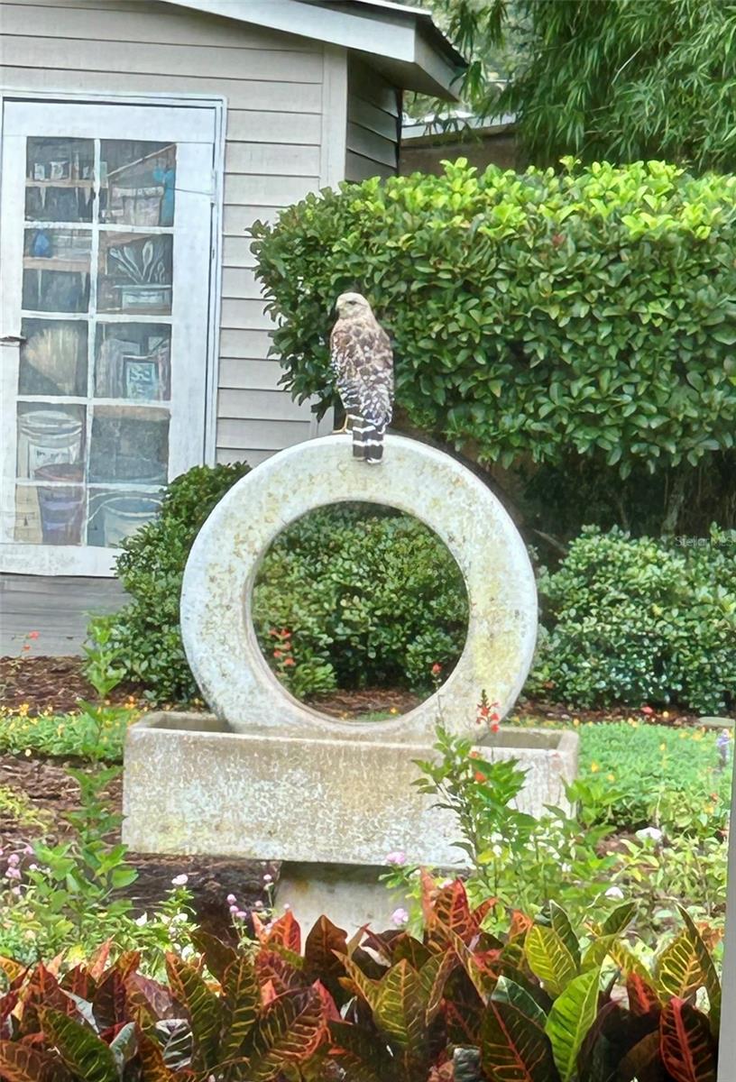 Image 47 of 52 For 810 9th Avenue