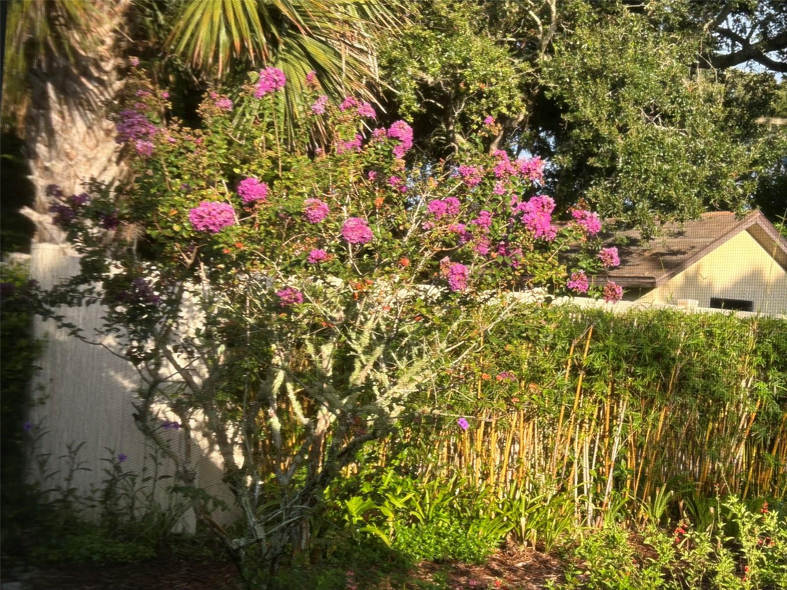 Image 52 of 52 For 810 9th Avenue