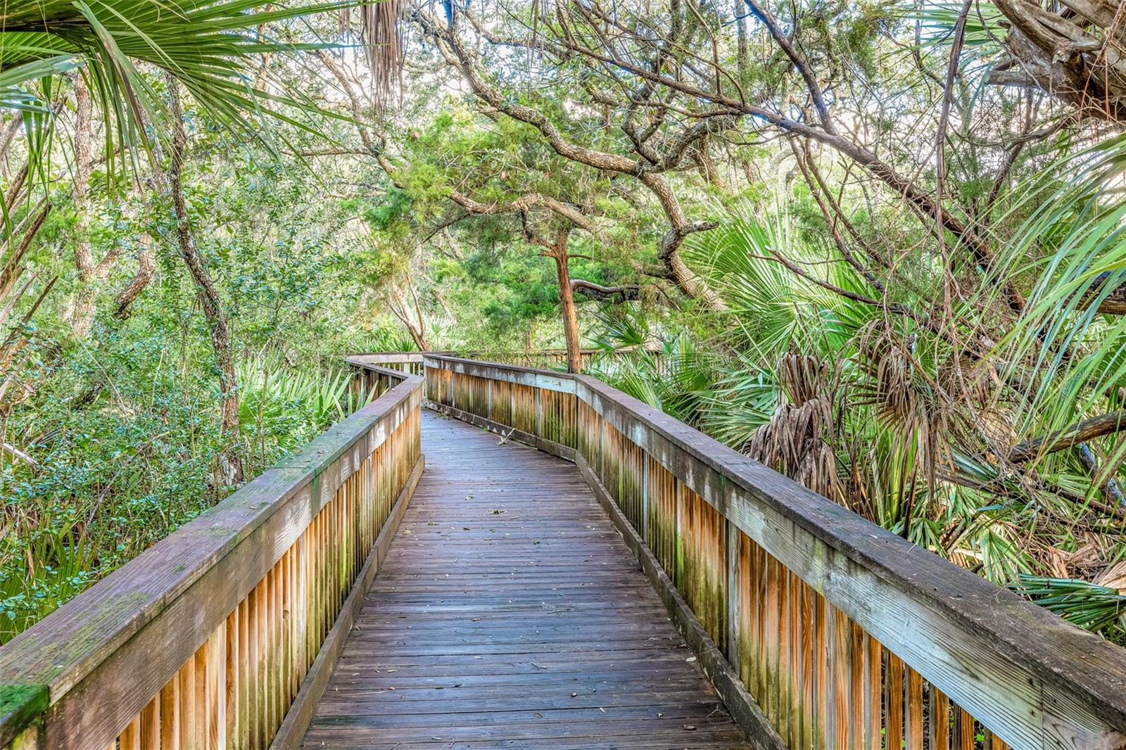 Image 62 of 74 For 4651 Atlantic Avenue 203