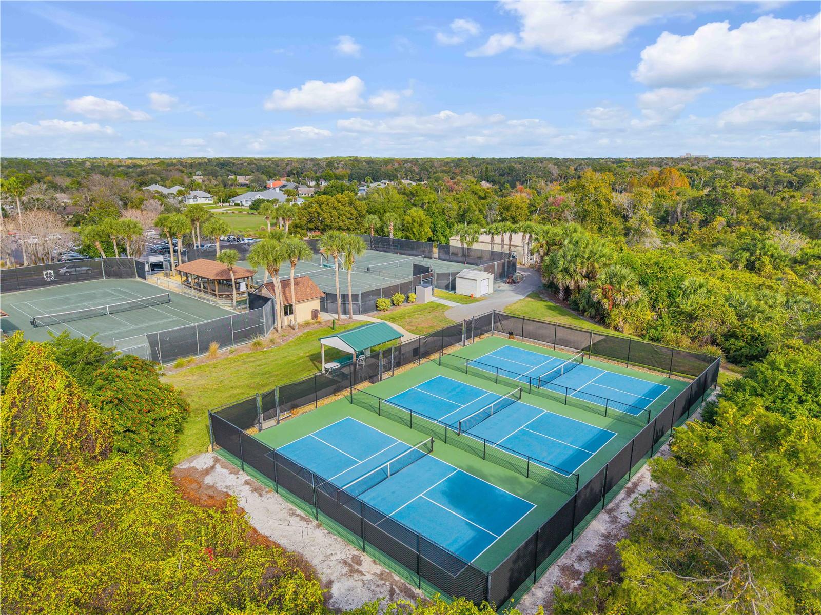 Image 45 of 48 For 201 Club House Boulevard 201