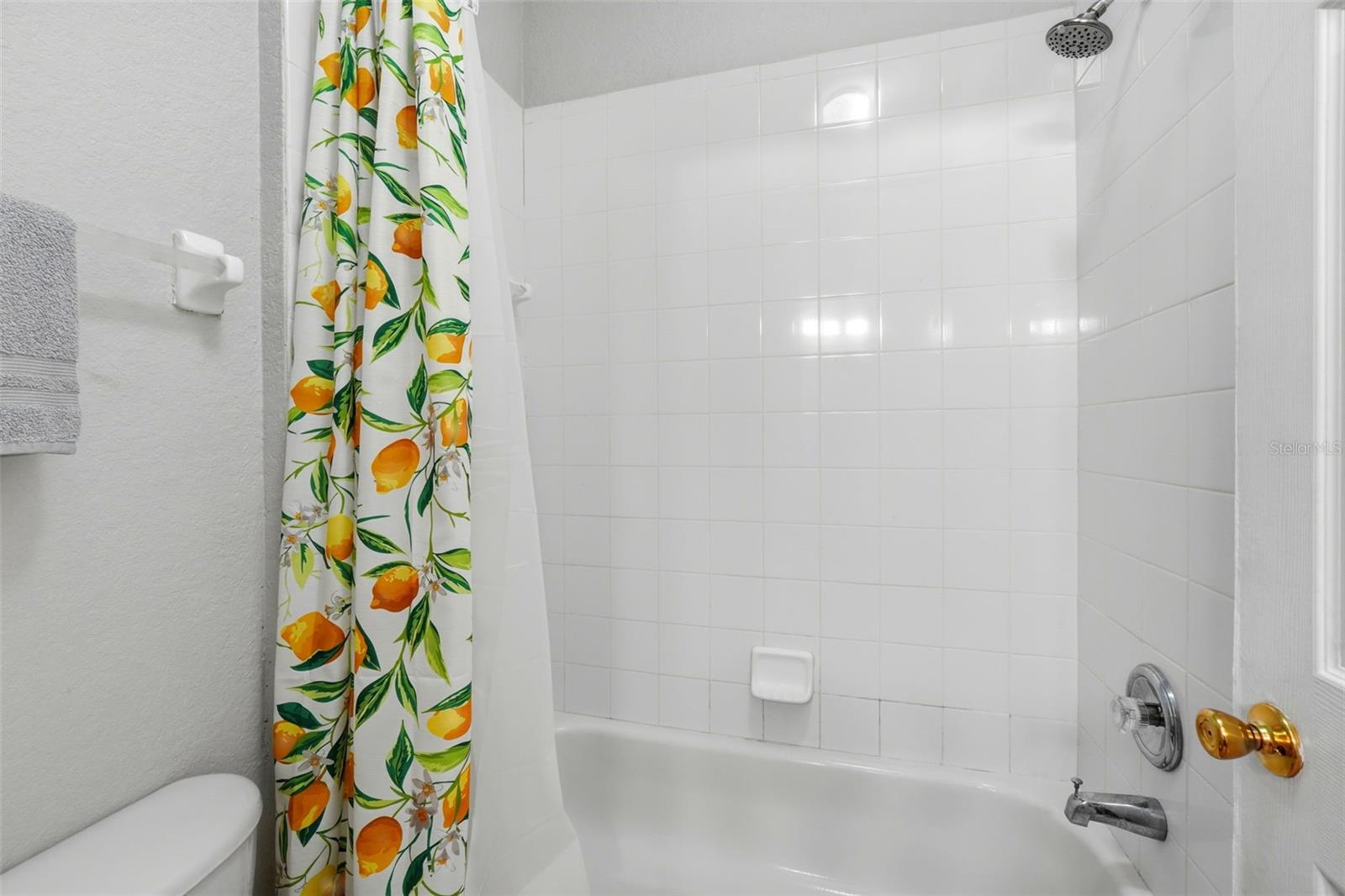 Image 26 of 49 For 16702 Caribbean Breeze Way