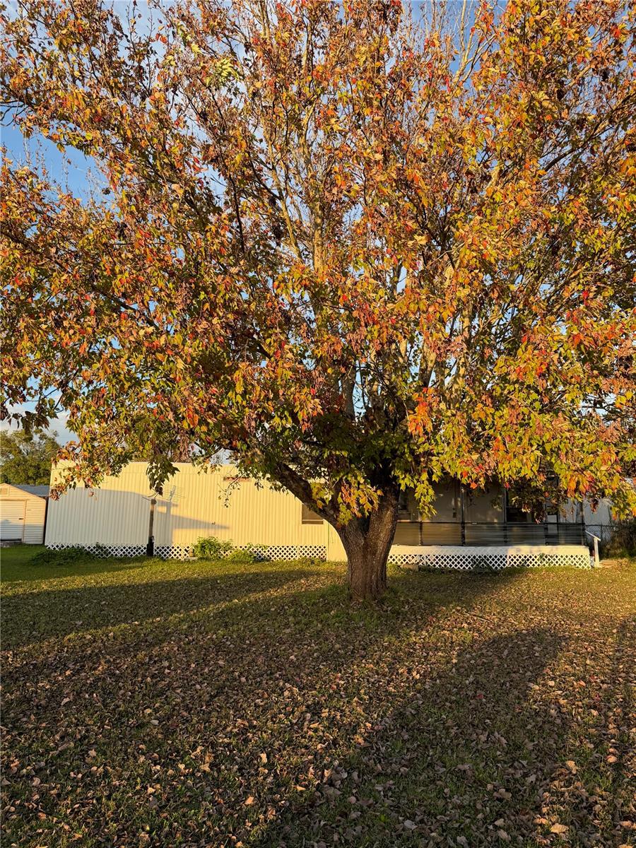 Image 10 of 14 For 132 Center Street