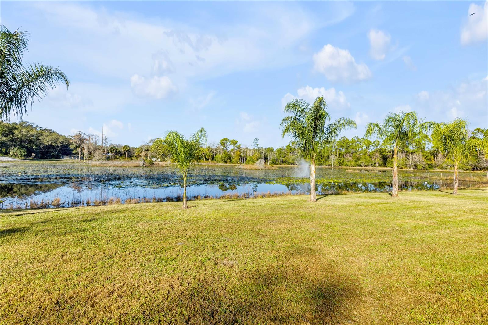 Image 16 of 37 For 420 Roberts Road