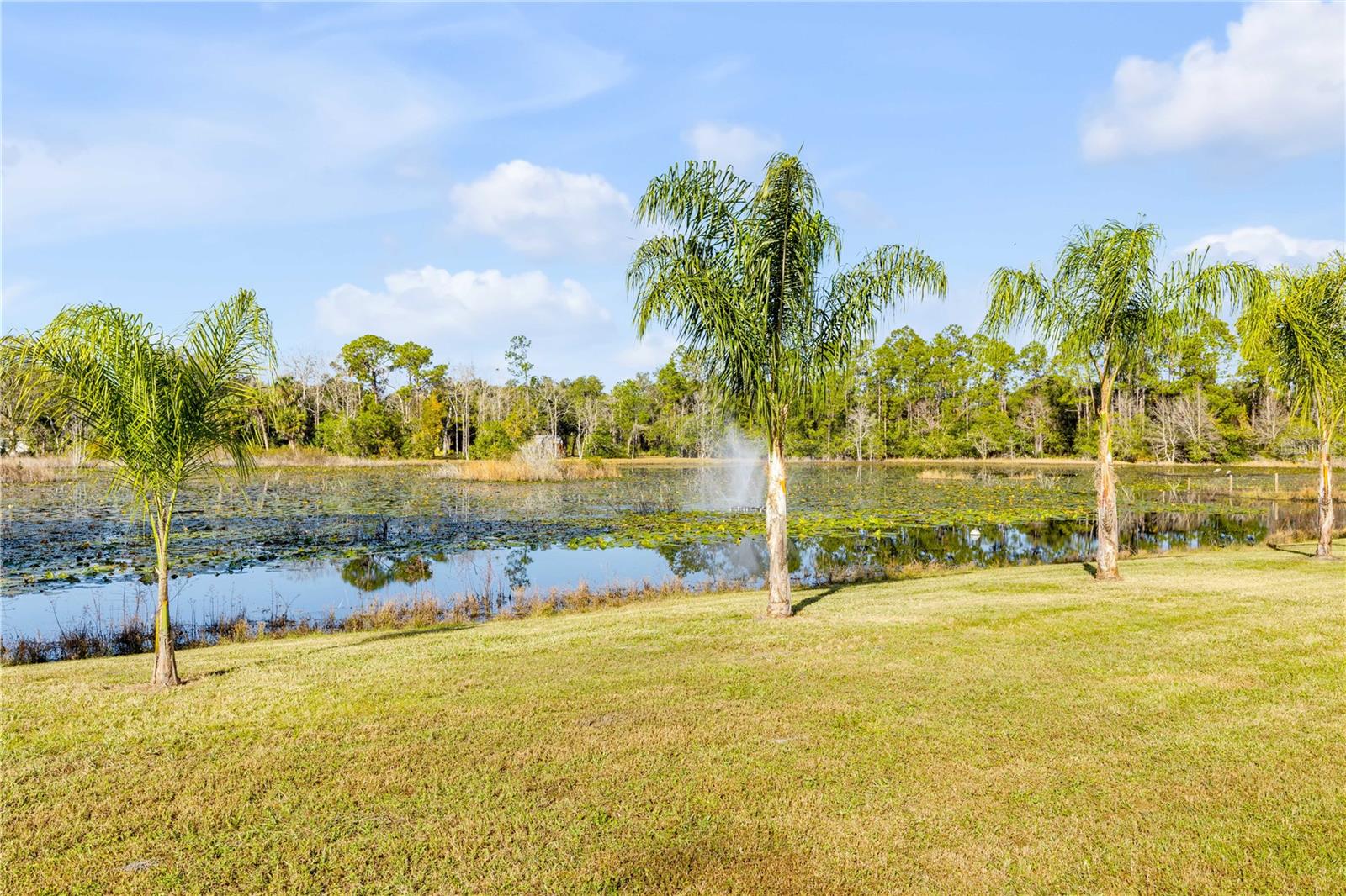 Image 6 of 37 For 420 Roberts Road