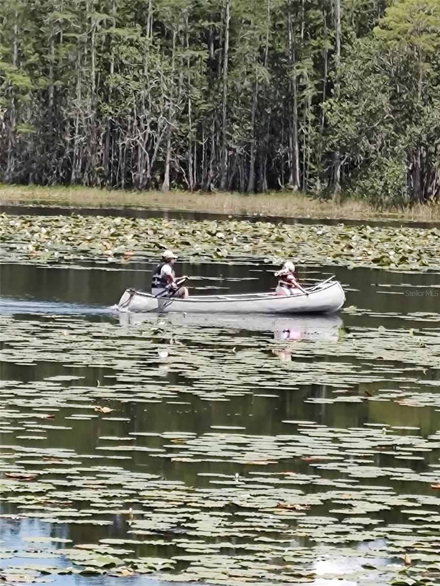 Image 14 of 25 For 1045 Buckles Road