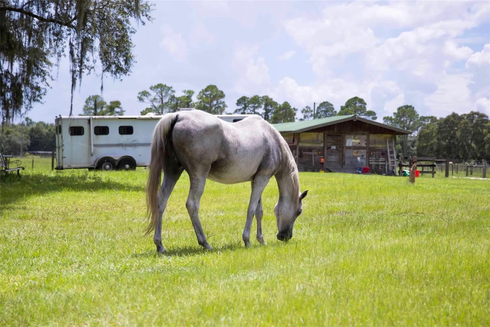 Image 21 of 25 For 1045 Buckles Road