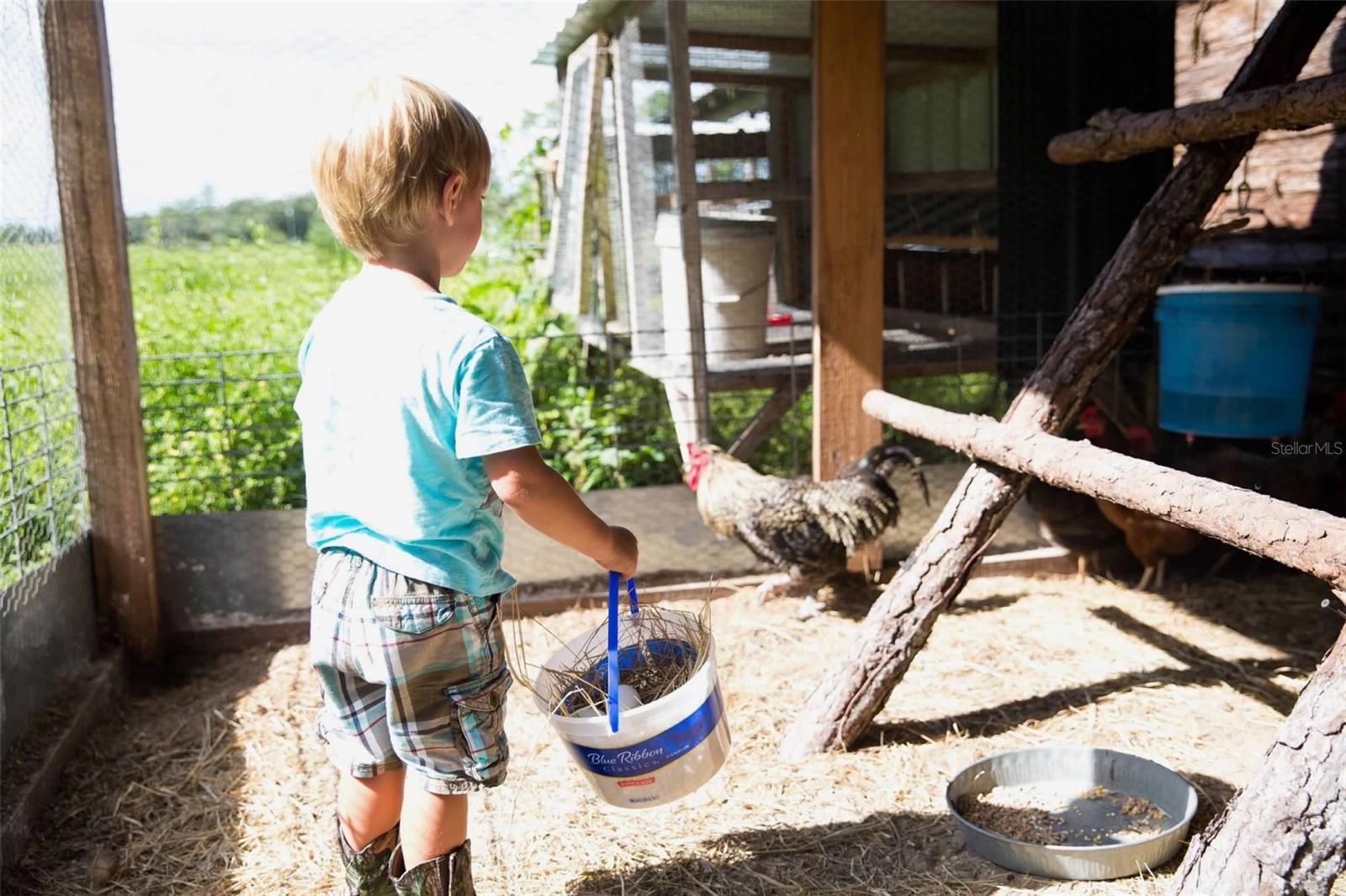 Image 22 of 25 For 1045 Buckles Road