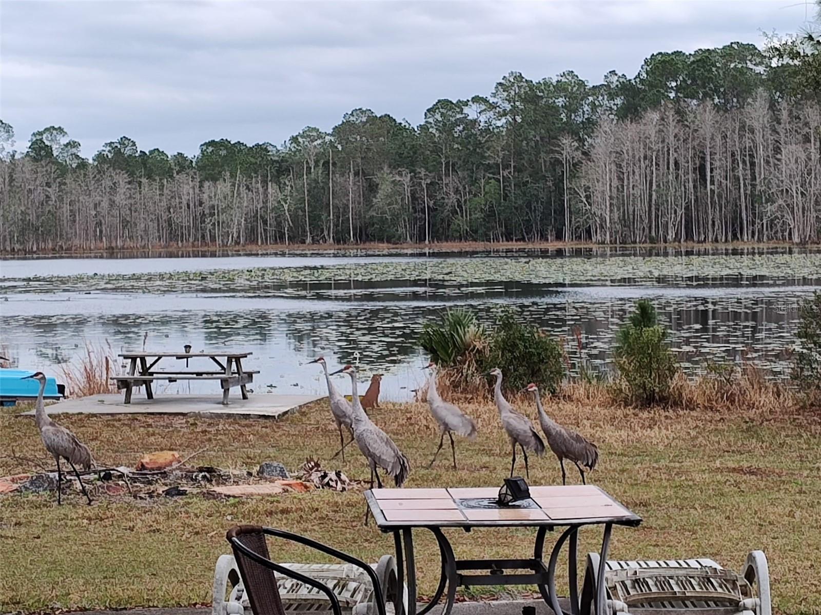 Image 3 of 25 For 1045 Buckles Road