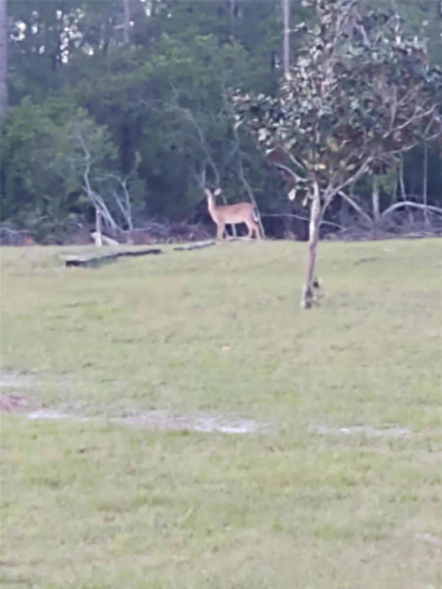 Image 6 of 25 For 1045 Buckles Road