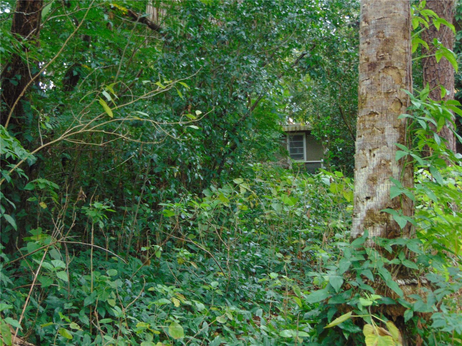 Image 3 of 6 For Fairway Avenue