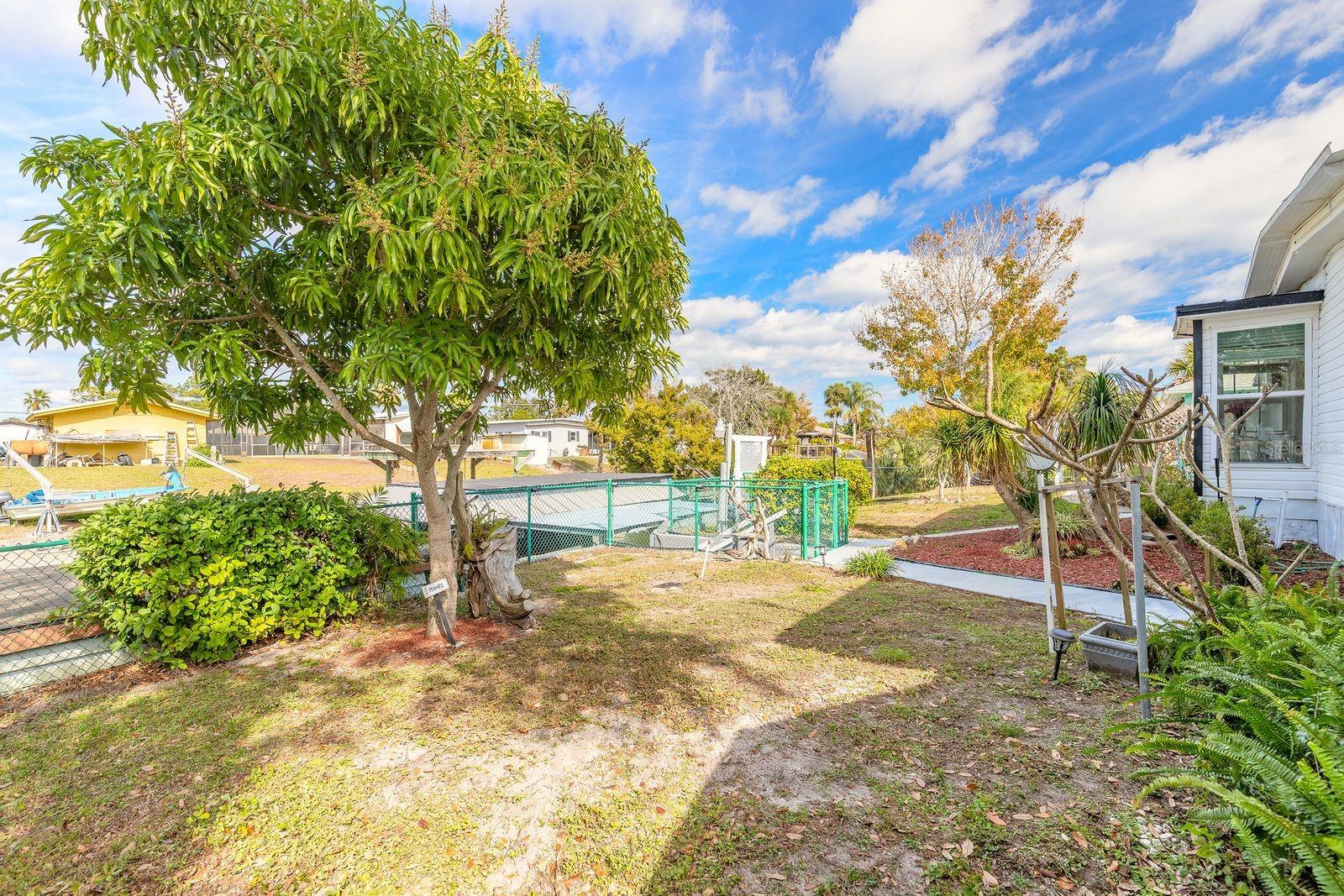 Image 31 of 43 For 109 Douglas Street