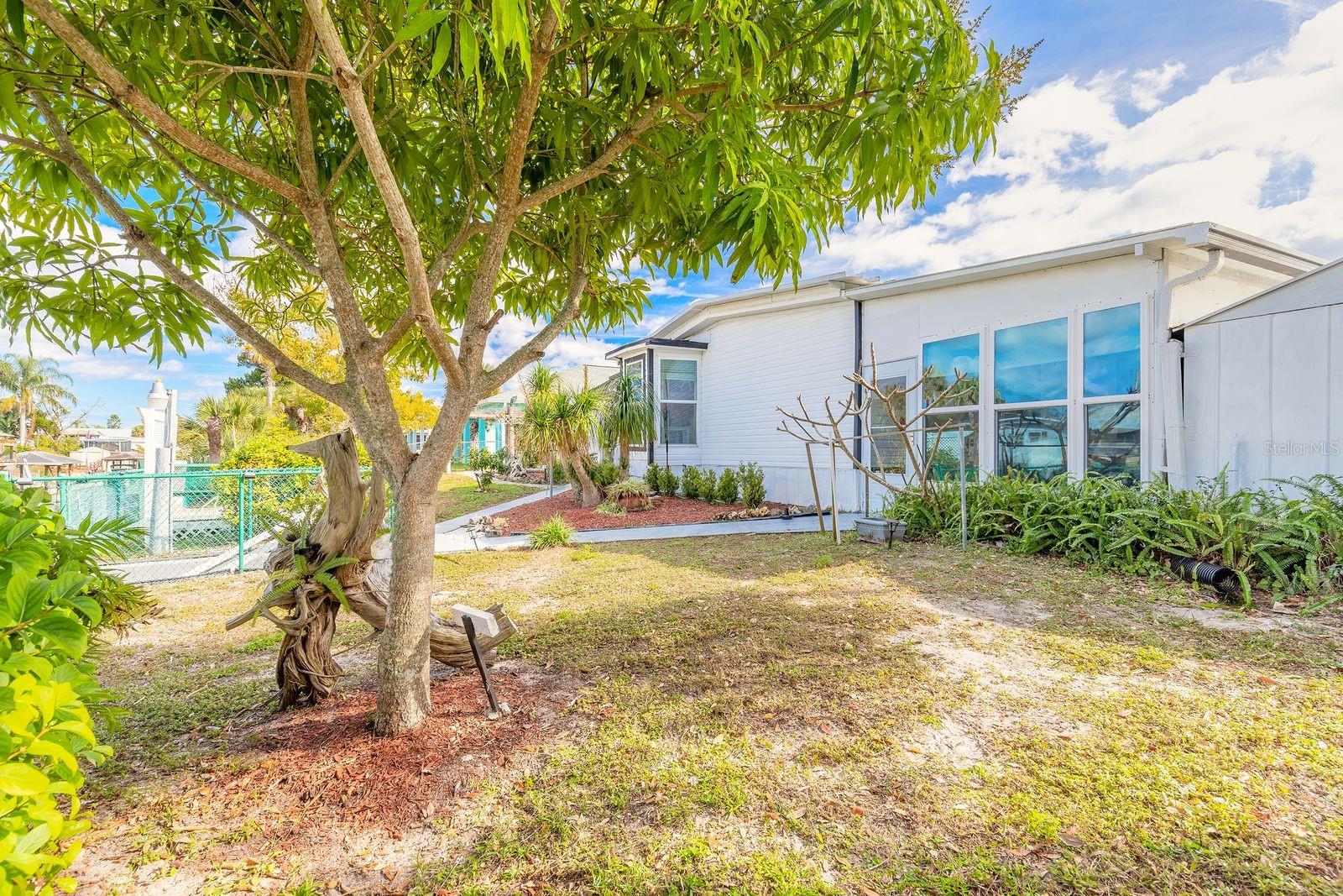 Image 32 of 43 For 109 Douglas Street