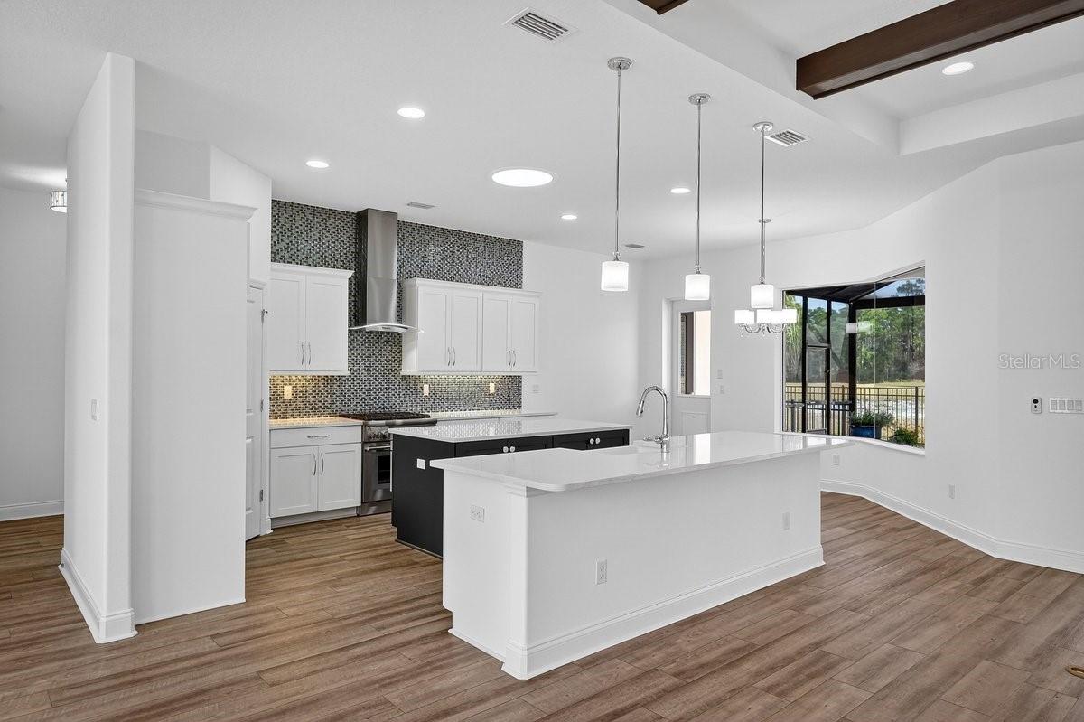 Image 40 of 87 For 2820 Asciano Court