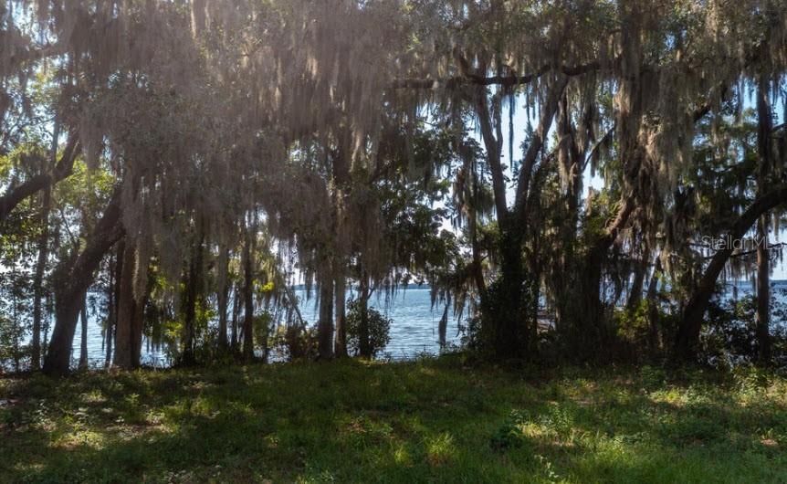 Image 12 of 19 For 254 St Johns Drive