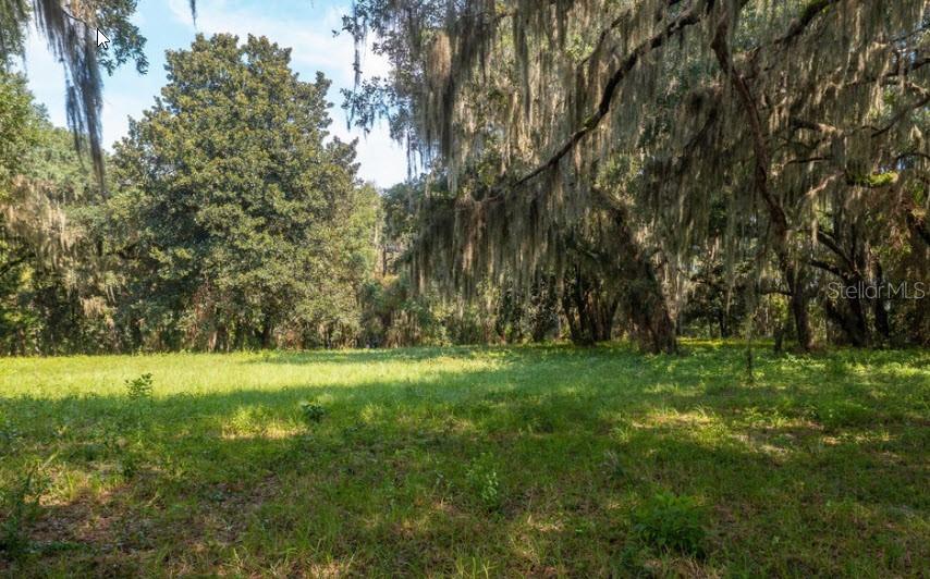 Image 13 of 19 For 254 St Johns Drive