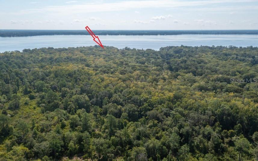 Image 14 of 19 For 254 St Johns Drive