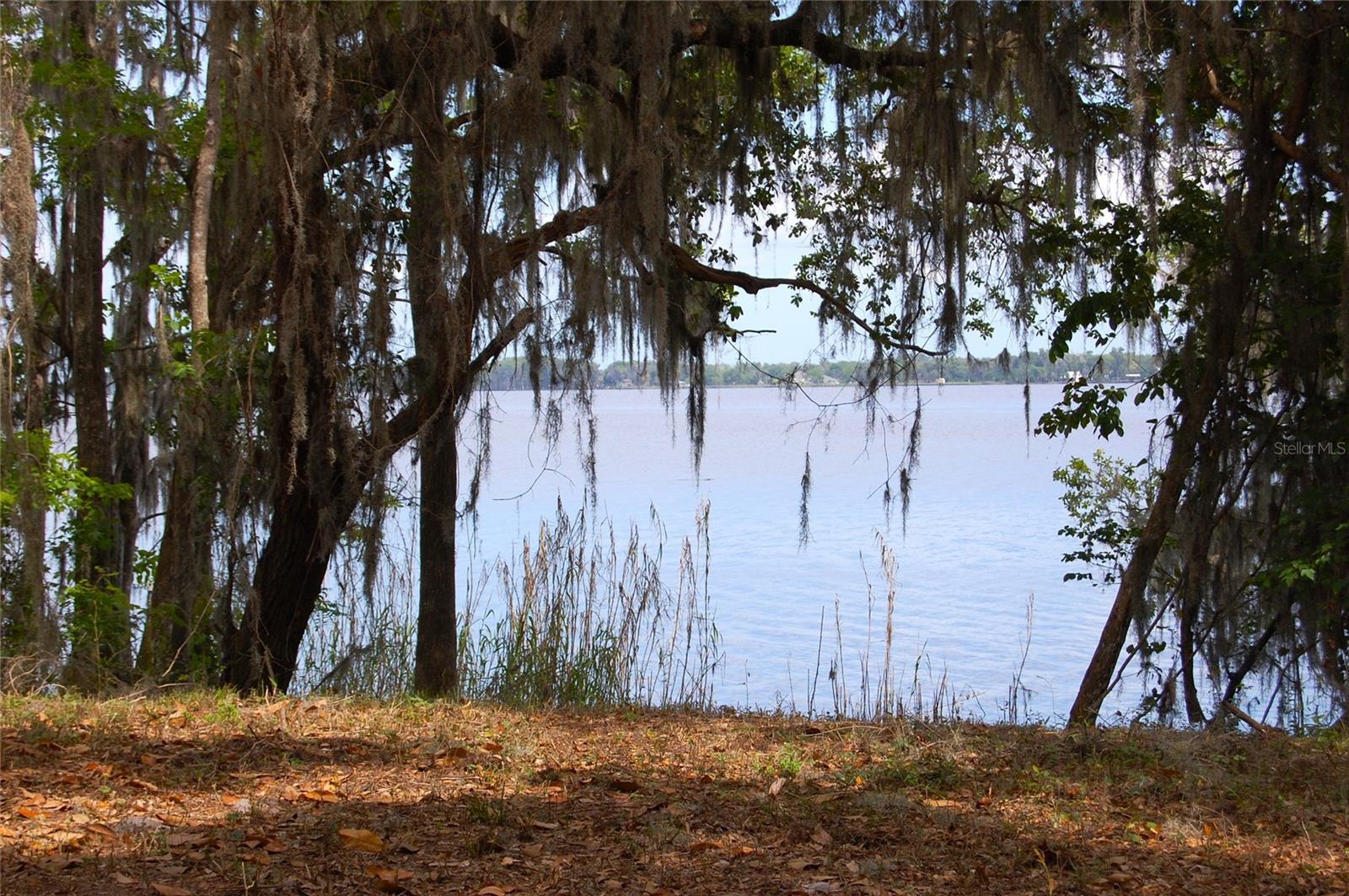 Image 15 of 19 For 254 St Johns Drive