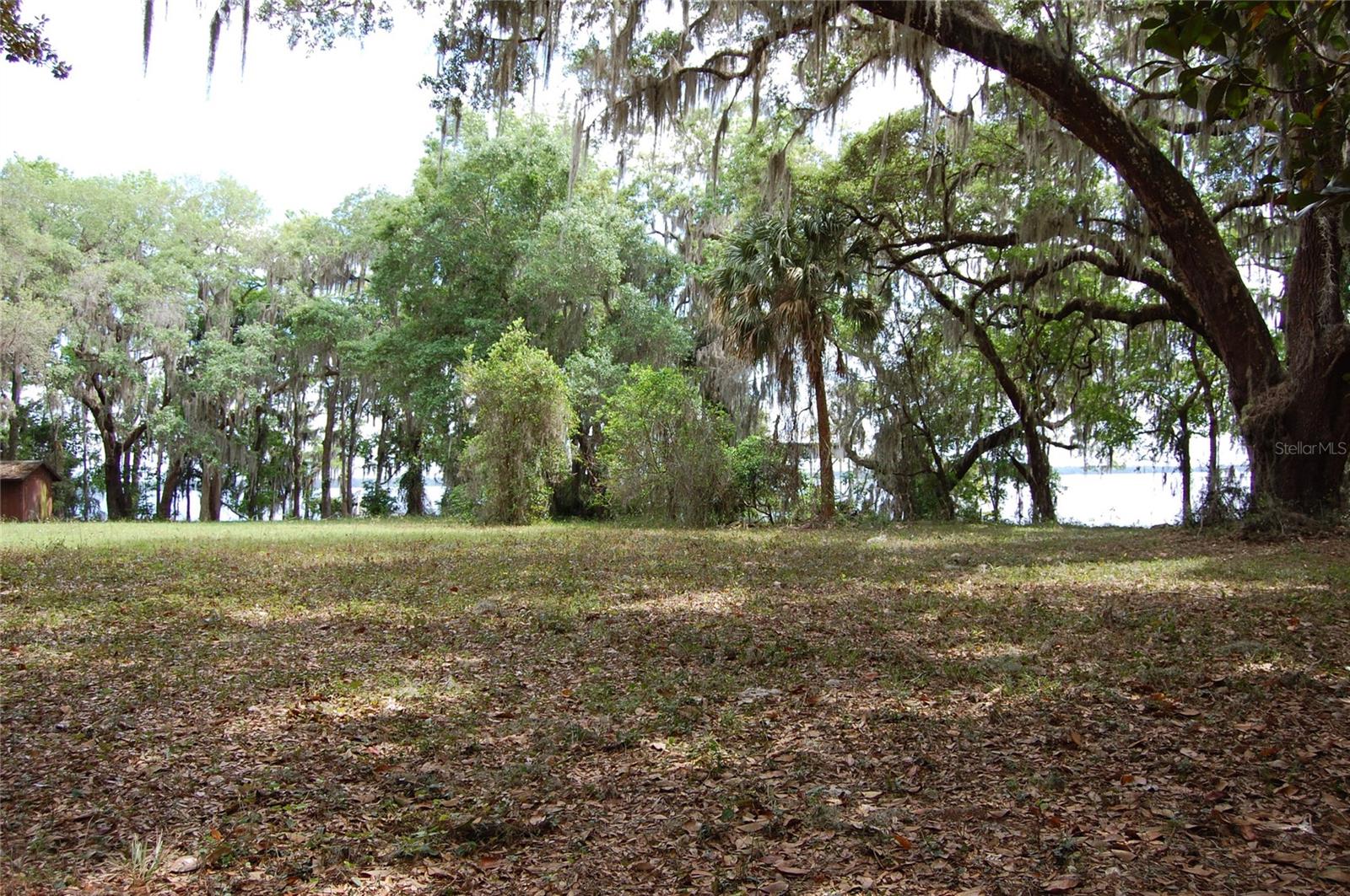 Image 18 of 19 For 254 St Johns Drive