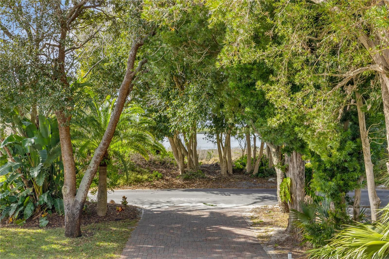 Image 2 of 100 For 1603 Indian River Road