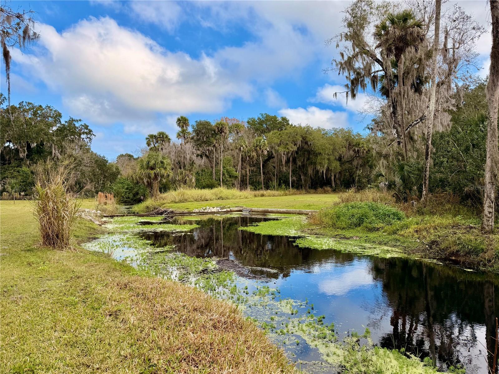 Image 12 of 21 For 685 Eagle Watch Road