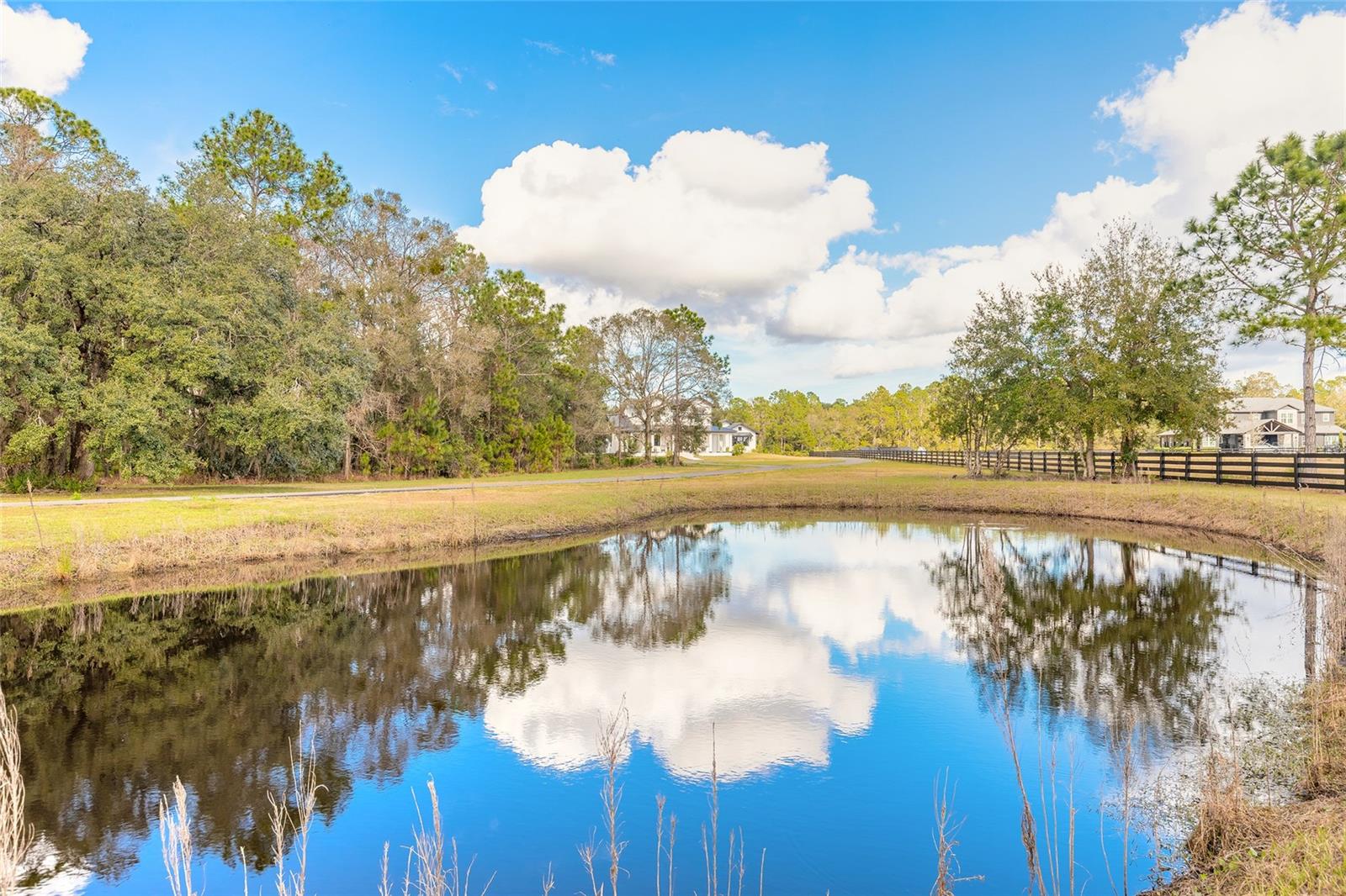 Image 4 of 71 For 1015 Tallacoe Trail