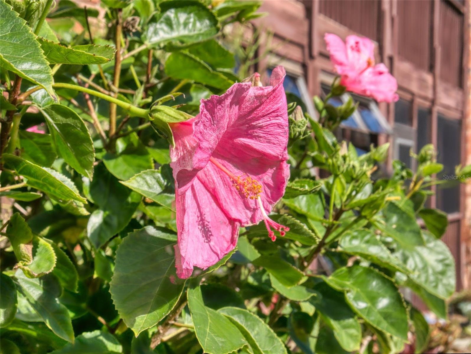 Image 58 of 78 For 3800 Saxon Drive 250