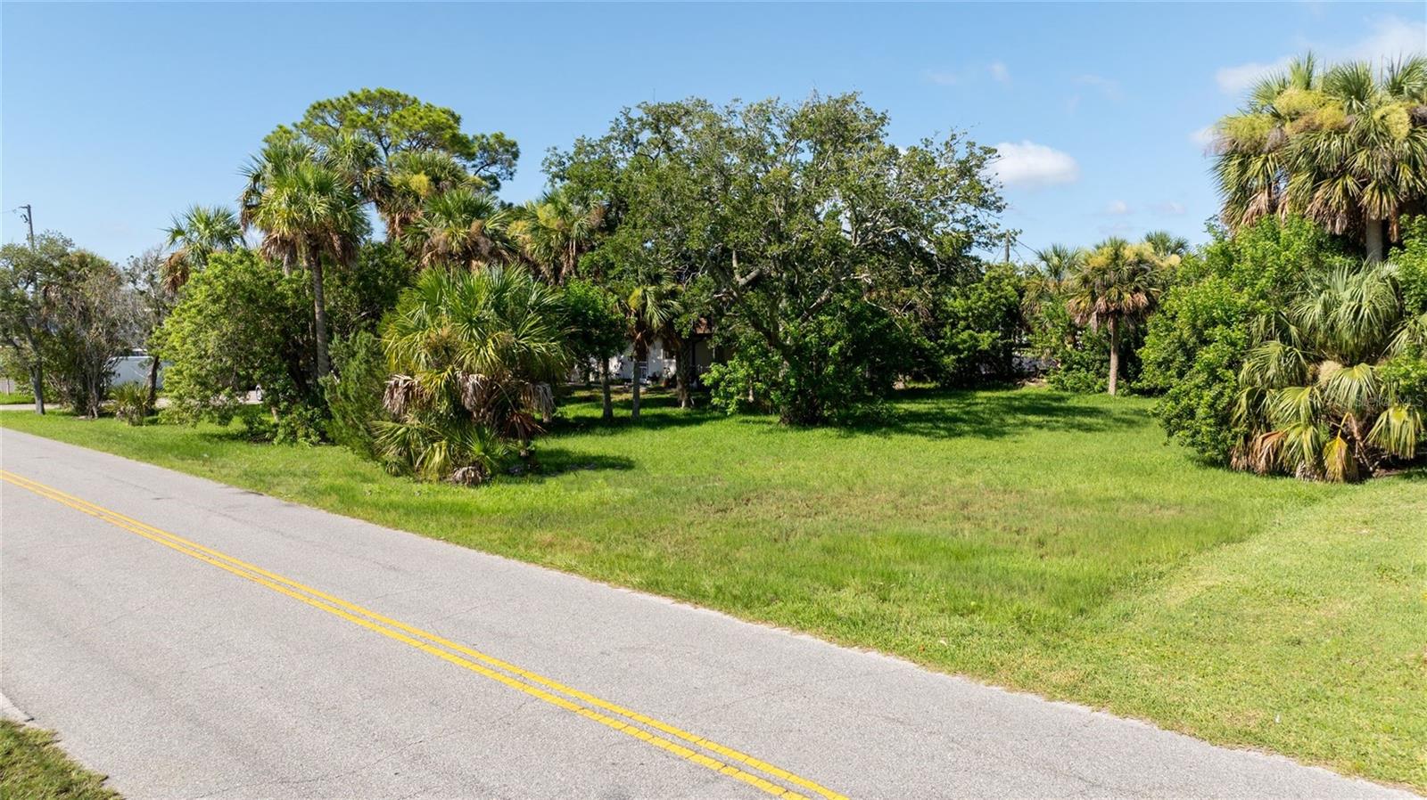 Image 11 of 13 For Palmetto Avenue