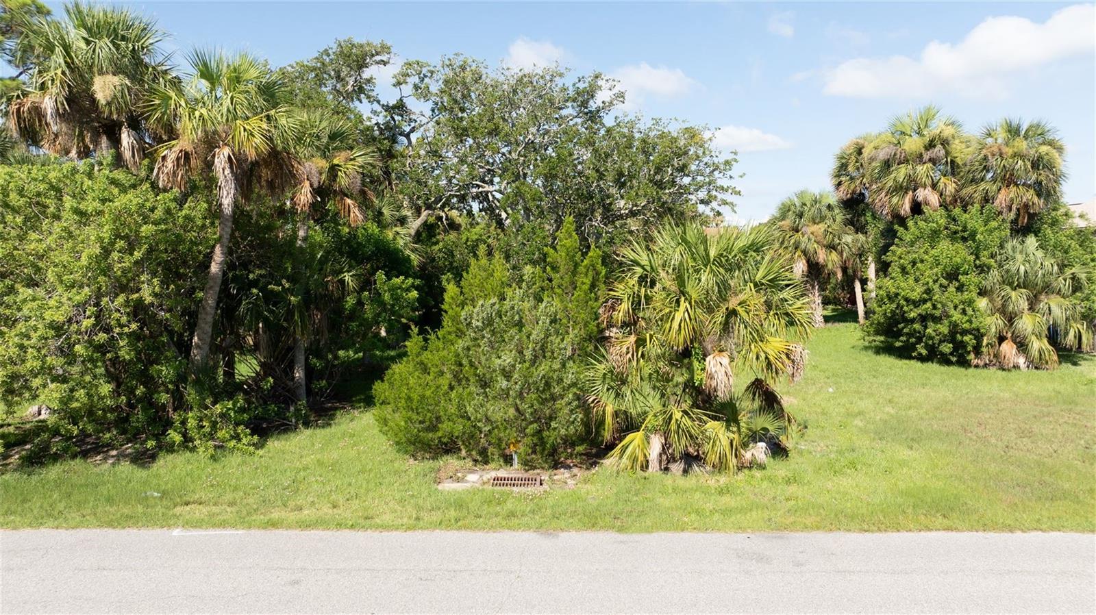 Image 12 of 13 For Palmetto Avenue