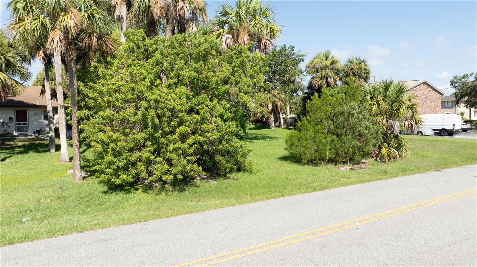 Image 13 of 13 For Palmetto Avenue