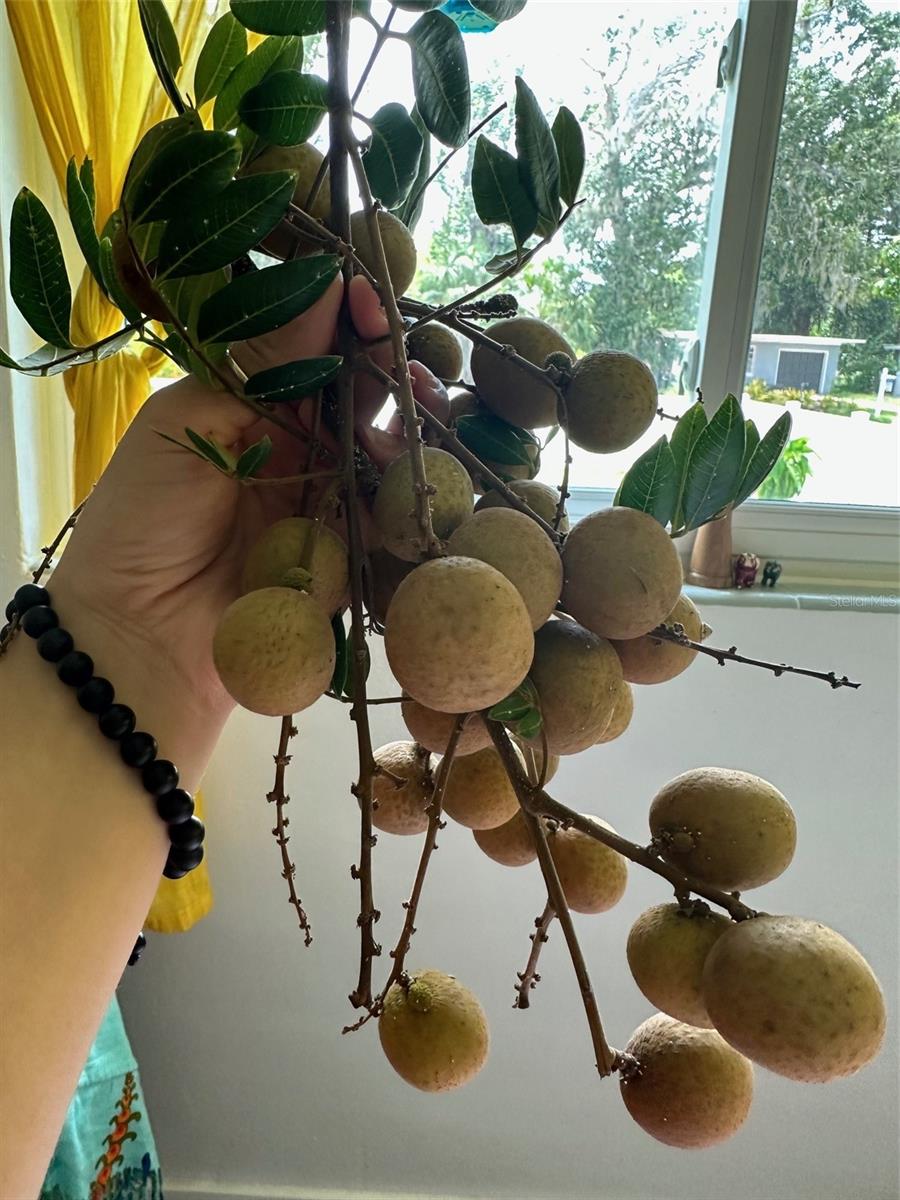 Image 47 of 47 For 357 Seneca Boulevard