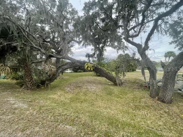 Image 7 of 8 For 104 Ellison Avenue