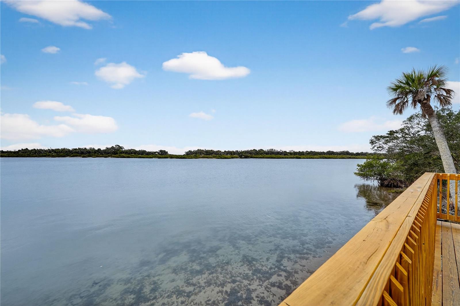 Image 58 of 63 For 317 River Front Way