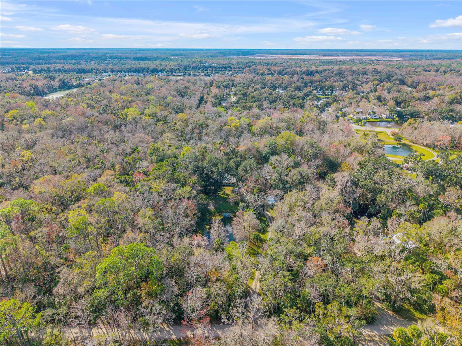 Image 77 of 99 For 1798 Hideaway Lane