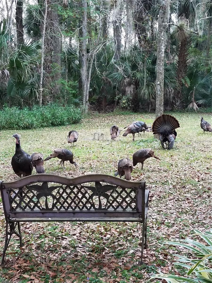 Image 83 of 99 For 1798 Hideaway Lane