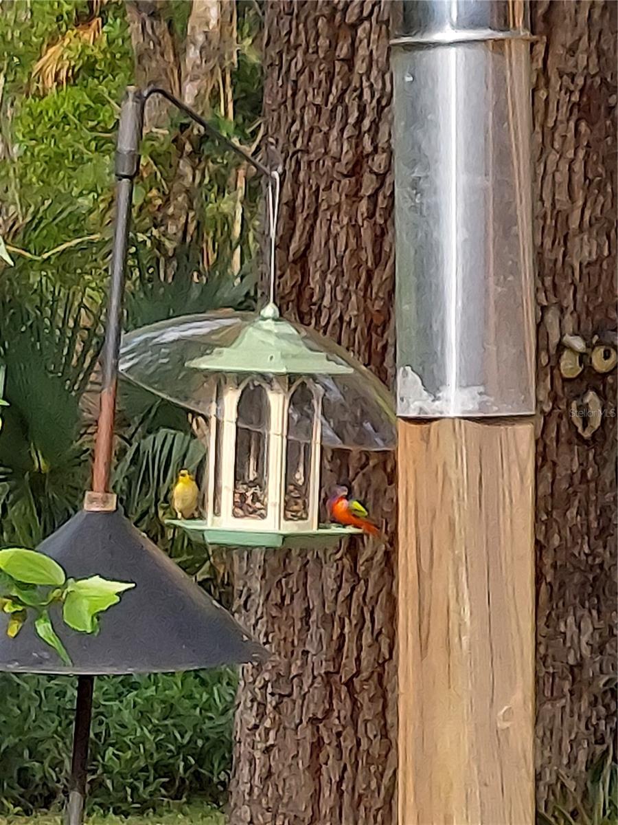 Image 86 of 99 For 1798 Hideaway Lane