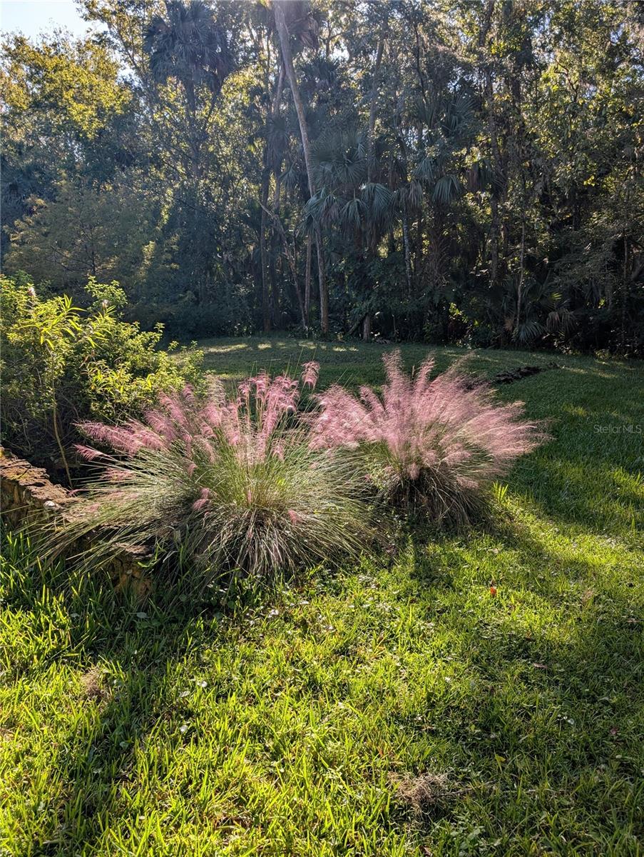 Image 92 of 99 For 1798 Hideaway Lane