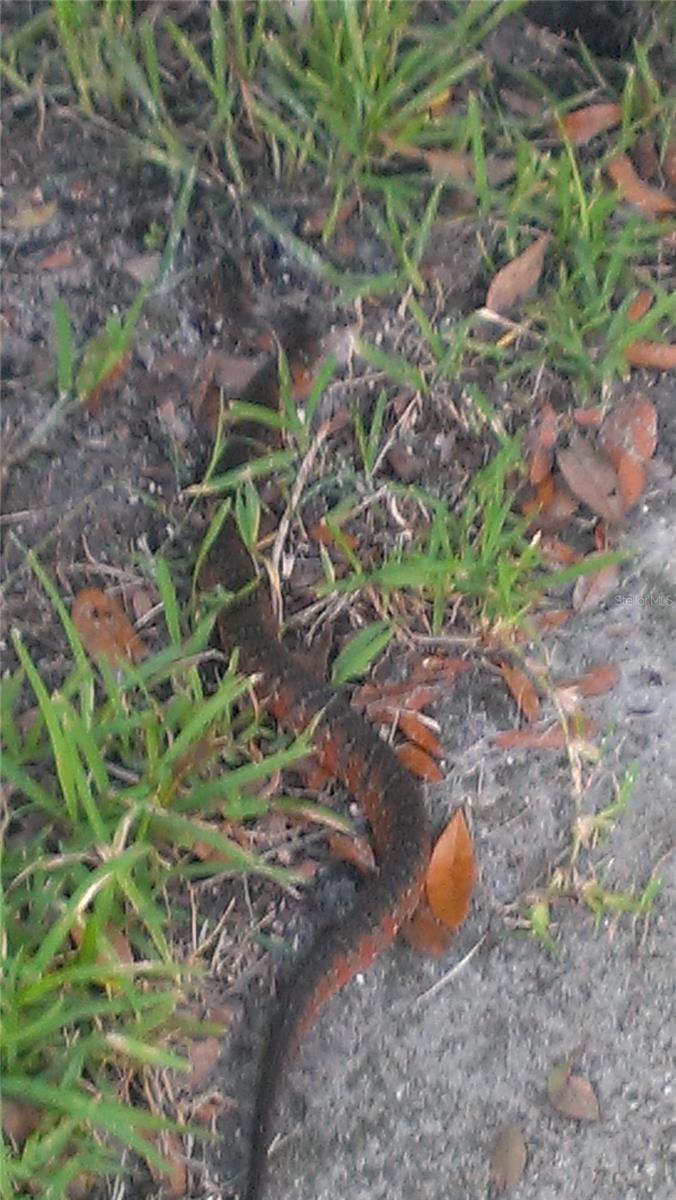 Image 93 of 99 For 1798 Hideaway Lane