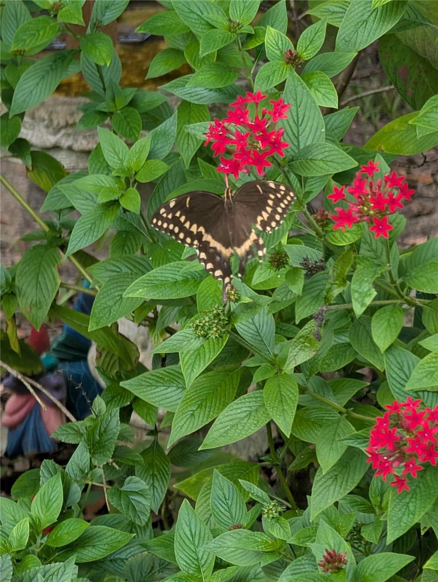 Image 95 of 99 For 1798 Hideaway Lane