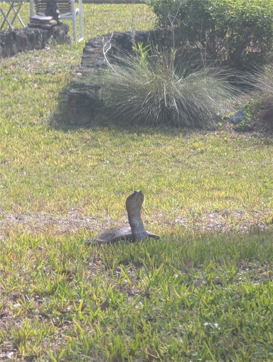 Image 96 of 99 For 1798 Hideaway Lane