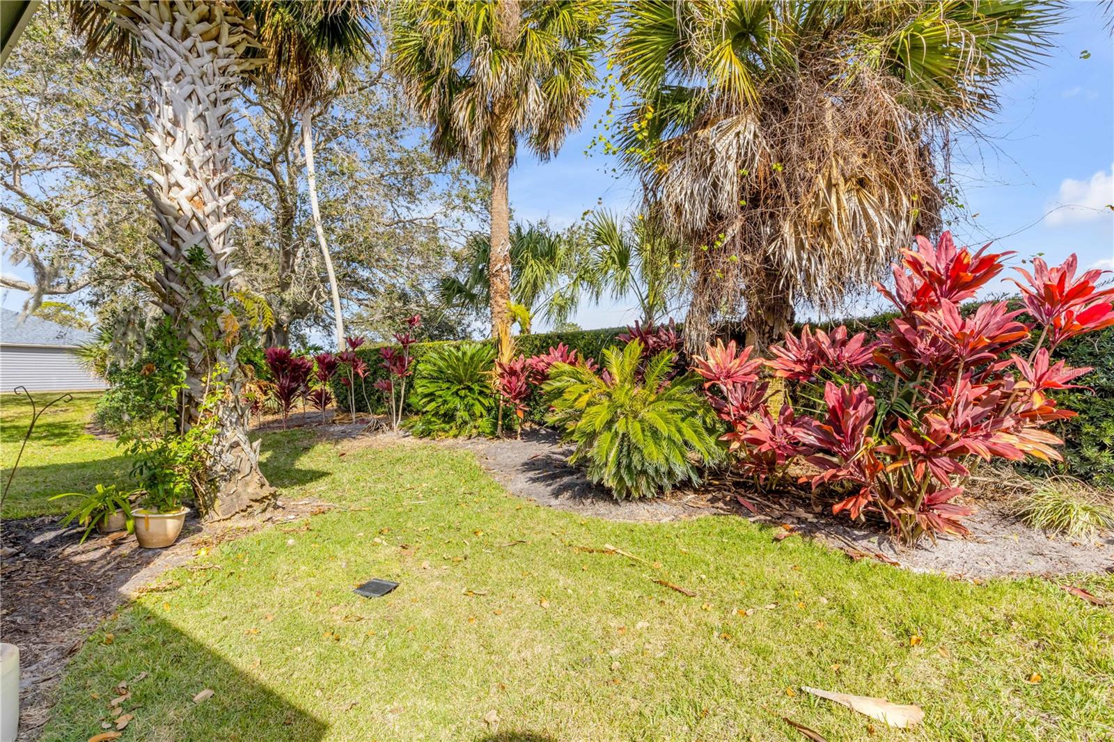 Image 56 of 78 For 1098 Red Maple Way