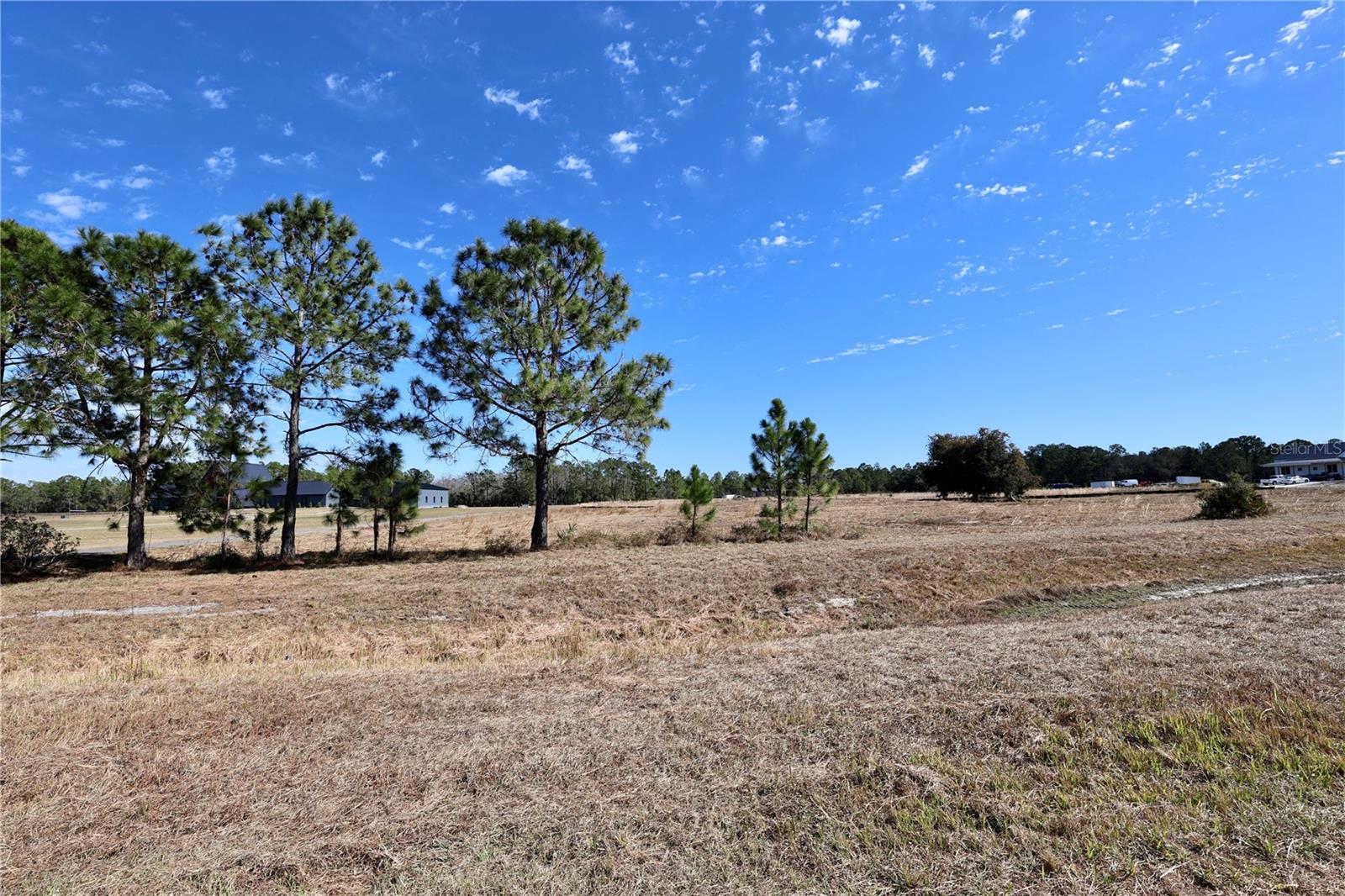 Image 9 of 28 For 1213 Tallacoe Trail