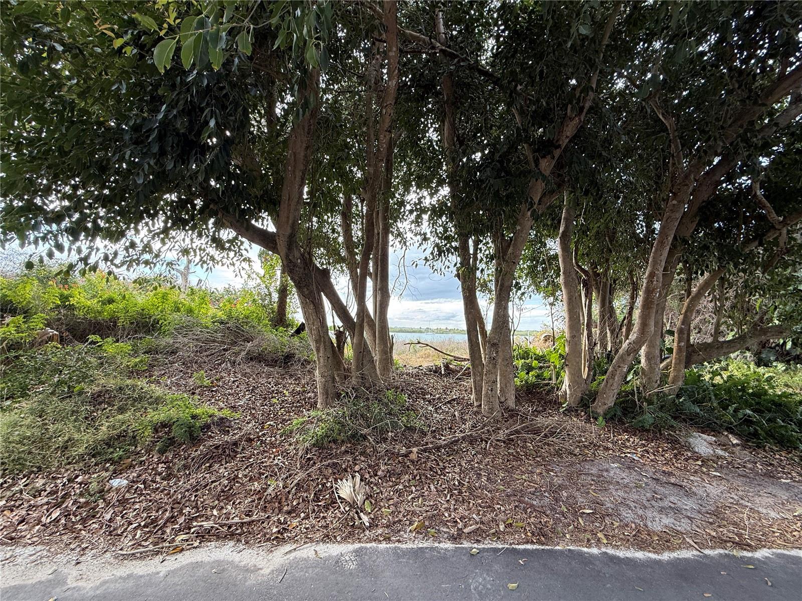 Image 10 of 27 For 1602 Indian River Road