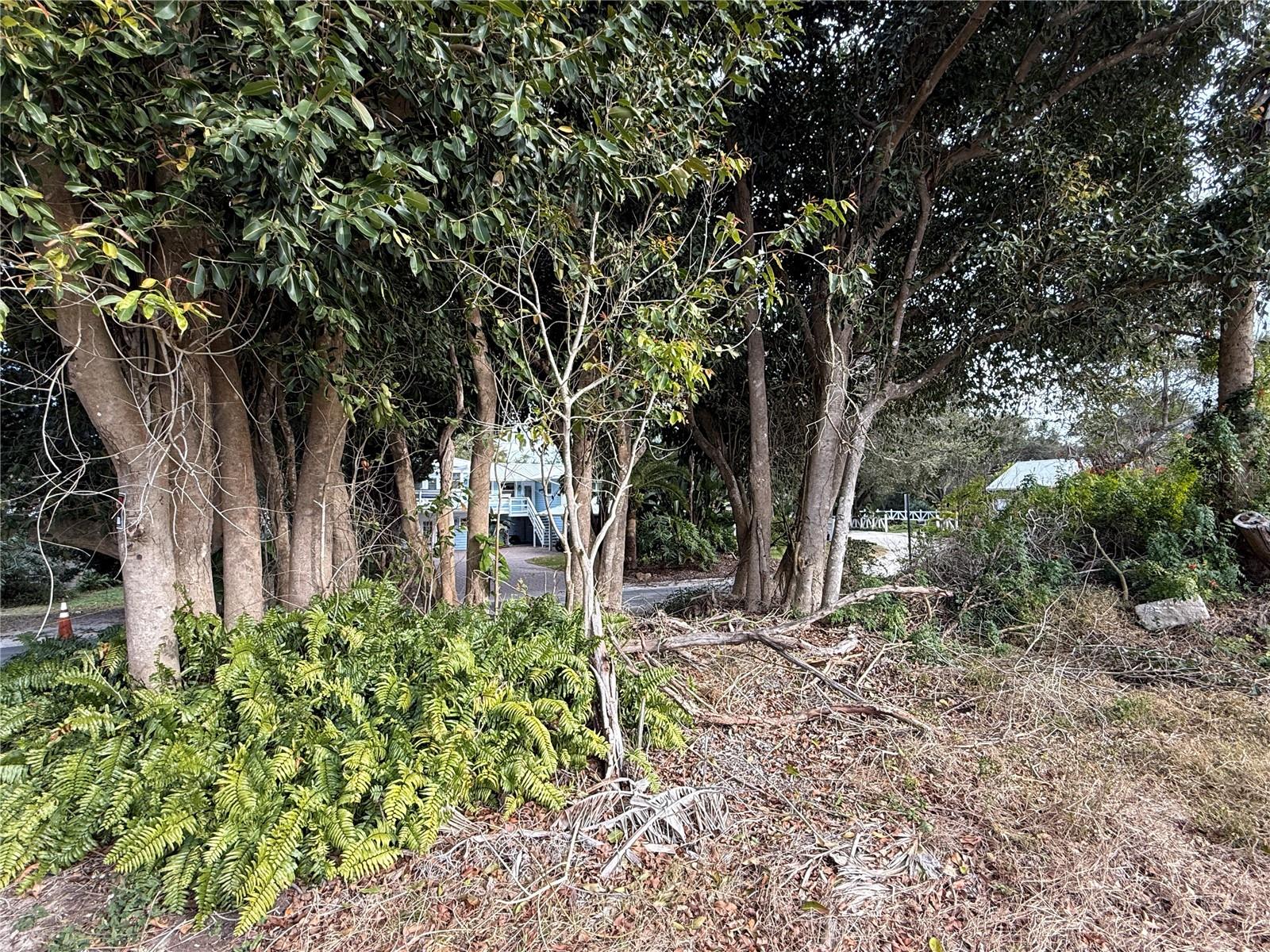 Image 11 of 27 For 1602 Indian River Road