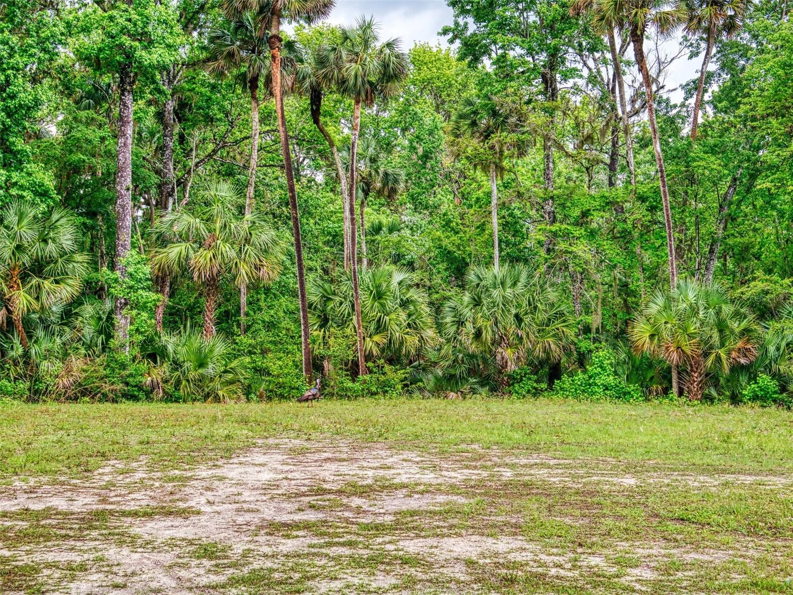 Image 39 of 46 For 2327 & 2329 Legacy Lane