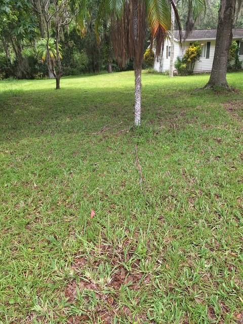 Image 14 of 28 For 3091 Log Cabin Lane