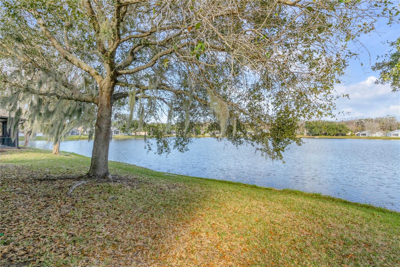 Image 33 of 72 For 649 Coral Trace Boulevard