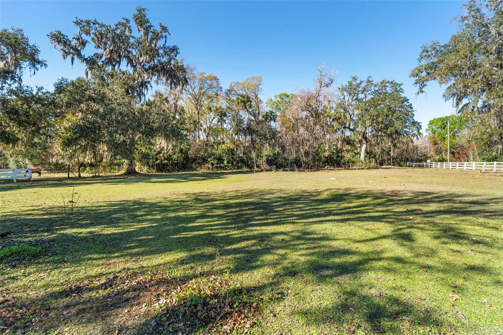 Image 11 of 86 For 3080 Ragis Road
