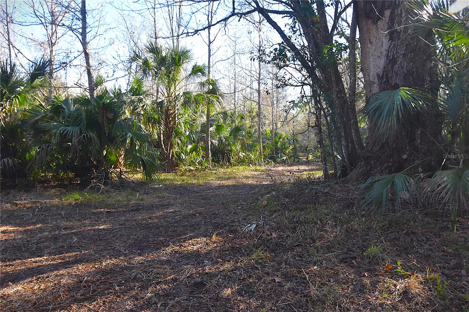 Details for 4721 Lingo Grove Road, EDGEWATER, FL 32141