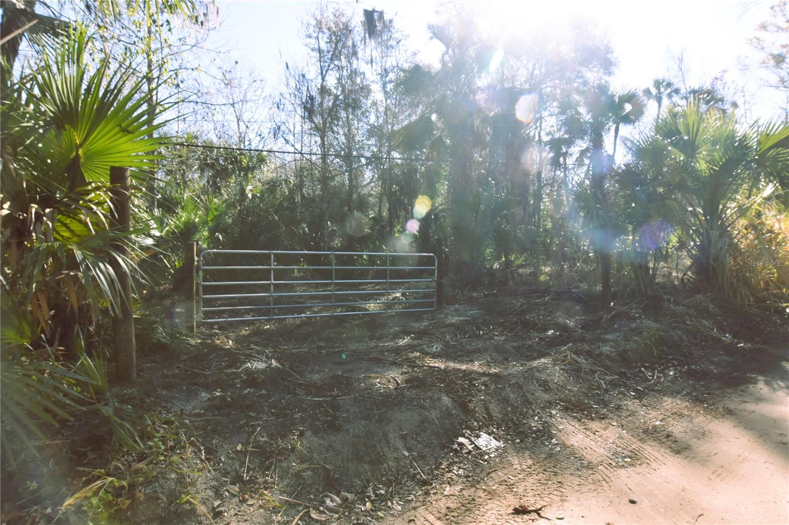 Image 10 of 10 For 4721 Lingo Grove Road